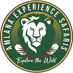 amlana-explore-safaris-logo